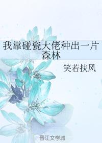 明妃曲原文及翻译