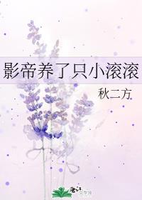 相逢时节剧情分集介绍