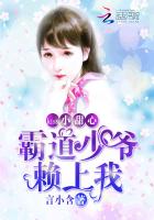 美丽的他小说完整版