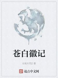 师父啊不要微盘