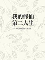 沁园春钢笔作品欣赏