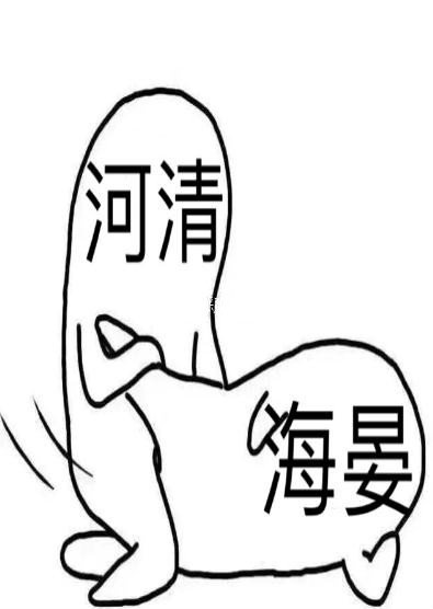 东北插班生演员表