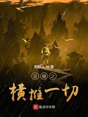 程师孟传全文翻译