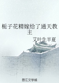 老师警花护士h系列小说