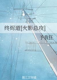 针锋对决17章车writeas