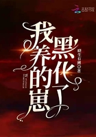 萍毛笔字体