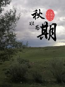 法师水元素宏