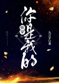 龙石战争