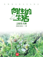 斗破苍穹小说