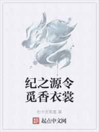 魏碑属于隶书吗