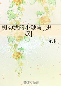 毛笔书法曹全碑字帖