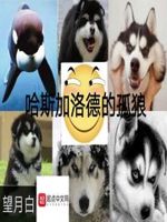 我字楷书字帖