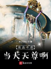 公交系列2公交系列3