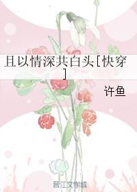 庆佳节全文解释