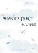 xart唯美系列合集