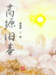 小说风月大陆