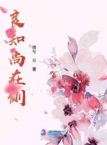 琼字的文言文