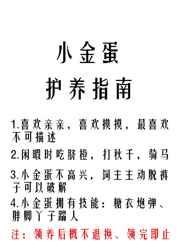 打字打出楷书