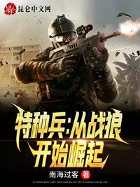 我是特种兵之利剑行动