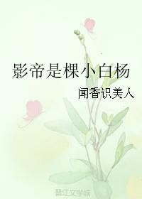 《因为爱情有多美》电视剧