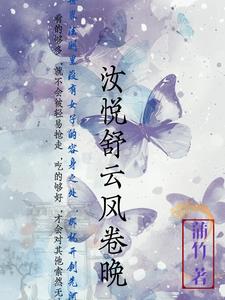 数码宝贝4